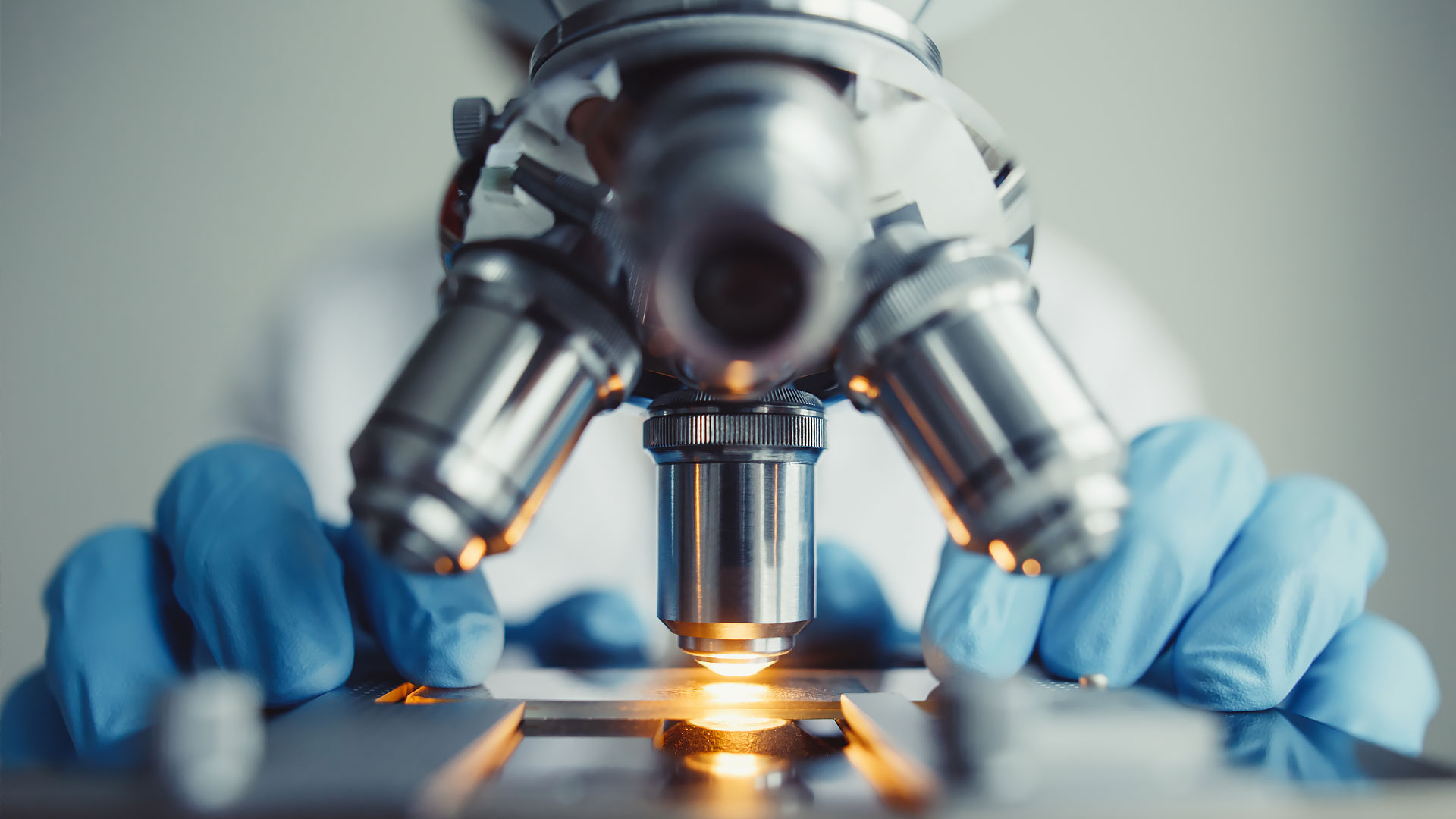 newyork.theequalitydirectory.com